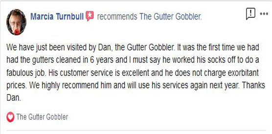 salisbury-1 gutter clearing review