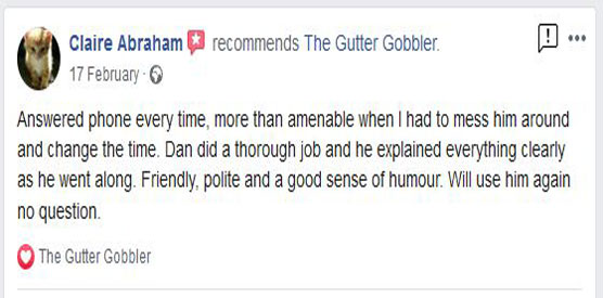 salisbury-3 gutter cleaners review