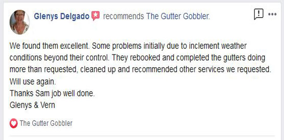 salisbury2 gutter clearance review