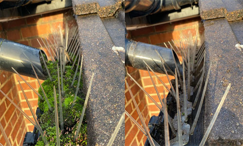gutter-32 moss removal