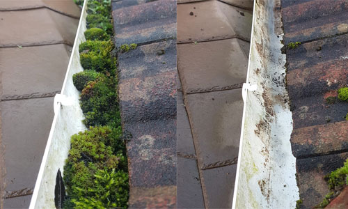 gutter-clearing-po moss removal