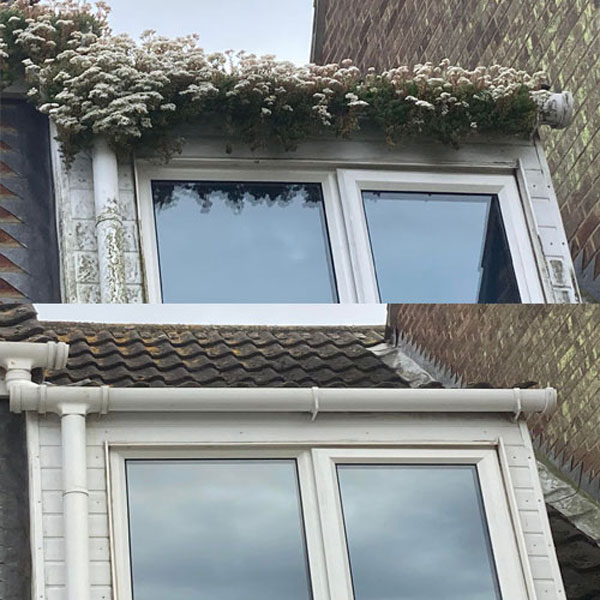 gutter56 gutter cleaning